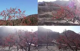 爱游戏(ayx)中国体育-包含Q葎m?